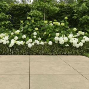 Cerasolid Pistoia Honey Cross 90x90x3 cm