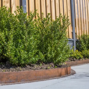 Tuinscherm Breda Grenen Geschaafd 21-planks 17x140mm 130x180cm Recht Groen Geïmpregneerd