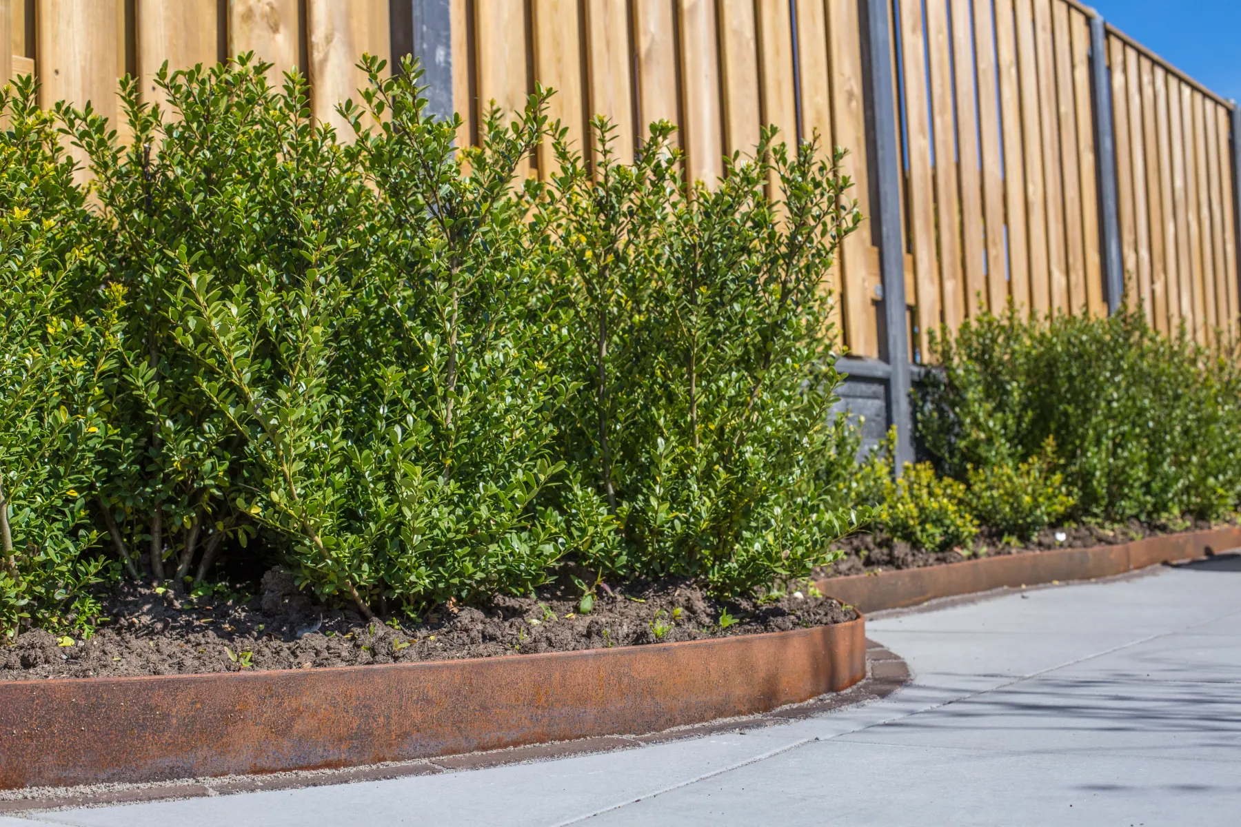 Tuinscherm Breda Grenen Geschaafd 21-planks 17x140mm 130x180cm Recht Groen Geïmpregneerd