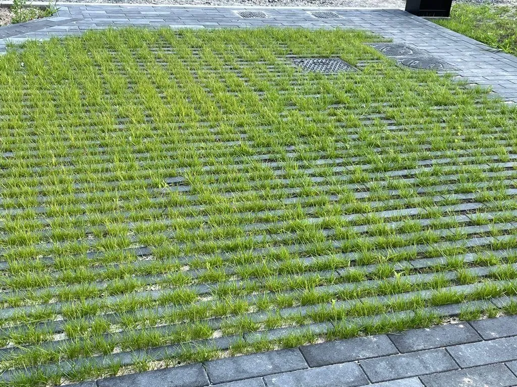 Hydro Lineo 30x10x8 nok 22 antraciet - Afbeelding 6