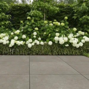 Cerasolid Cortona Musk 90x90x3 cm