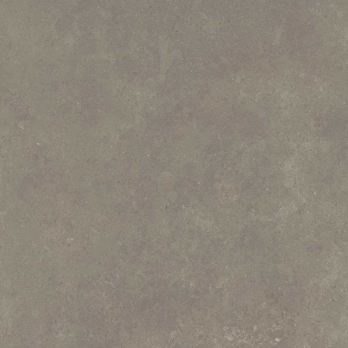Cerasolid Cortona Musk 60x60x3 cm - Afbeelding 3