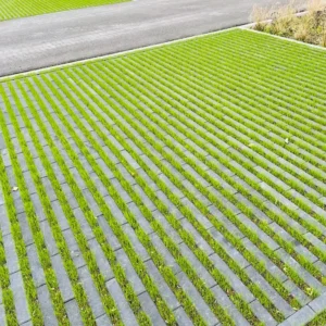 Hydro Lineo 30x10x8 nok 22 antraciet