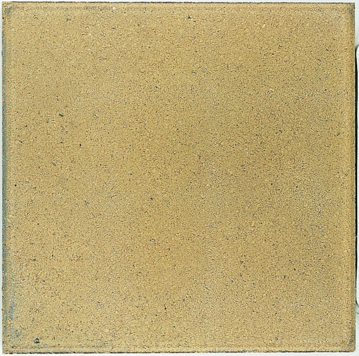 Dreentegel Nxt Comfort Ginger 50x50x4,5cm - Afbeelding 2