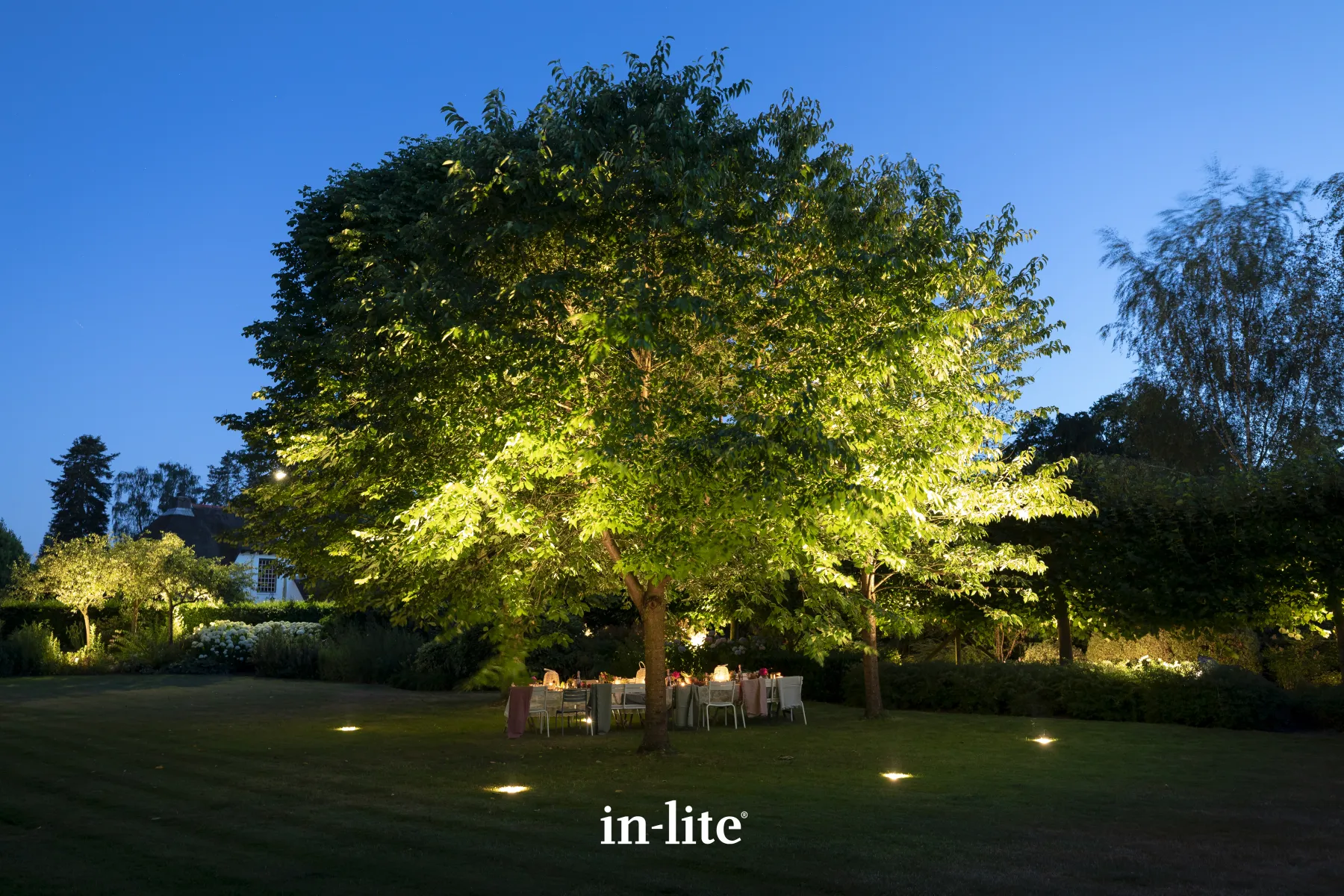 In-Lite Big Nero 12V - Dark - Afbeelding 4