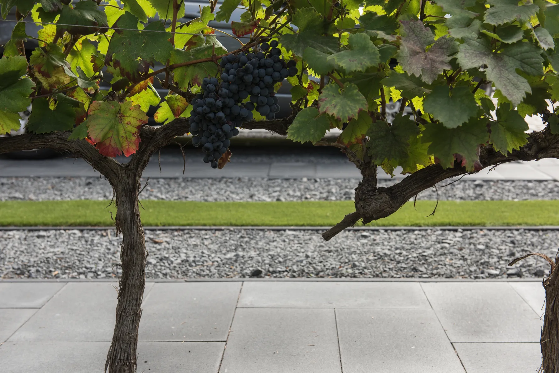 Tremico Antraciet 30x60x6cm - Afbeelding 5